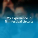 My experience in film festival circuits